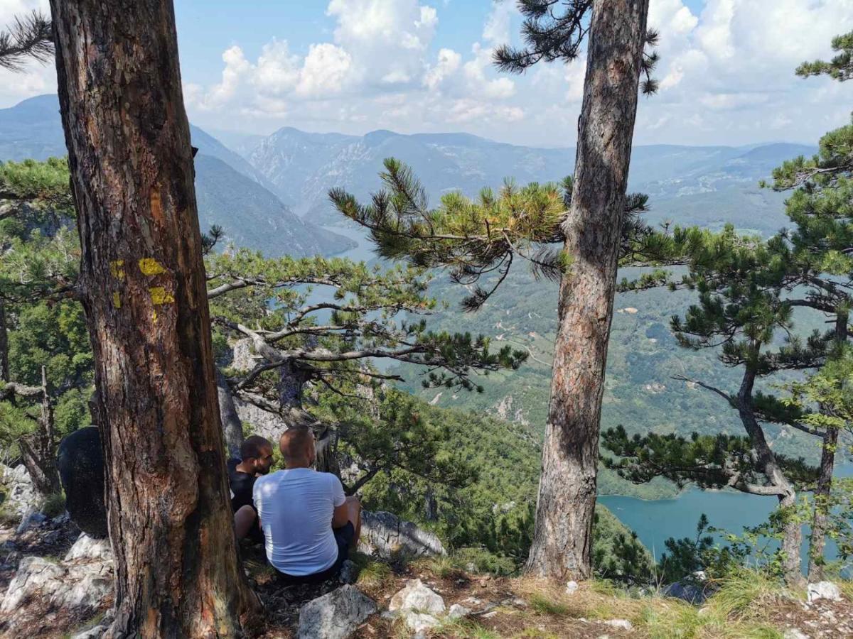 Apartman Bugar Mitrovac Exteriér fotografie